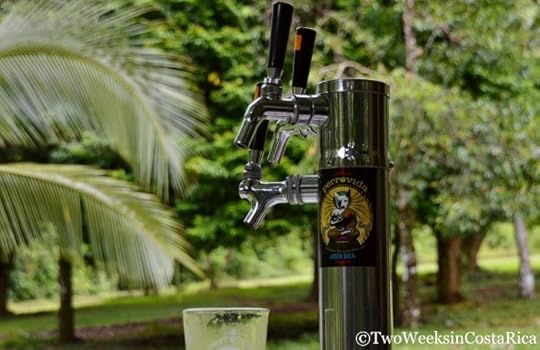 Perro Vida Brewery | Two Weeks in Costa Rica