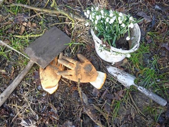 Dig up a clump, remove surplus soil and put it in a container.