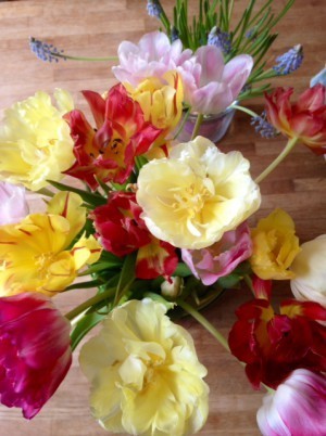 Mina tulpaner hänger fortfarande med.