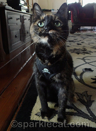 Surprisingly, she could look a LOT meaner!