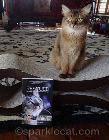 Look, I posed with it nicely! Unlike last time.