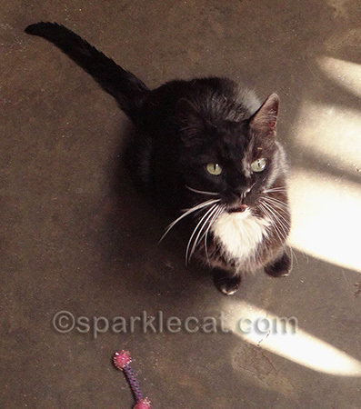 Yes, he was in something of a nip haze