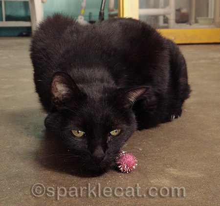 Domino is a very sweet and slightly quirky girl