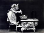 cat-dressed-vintage-photo-