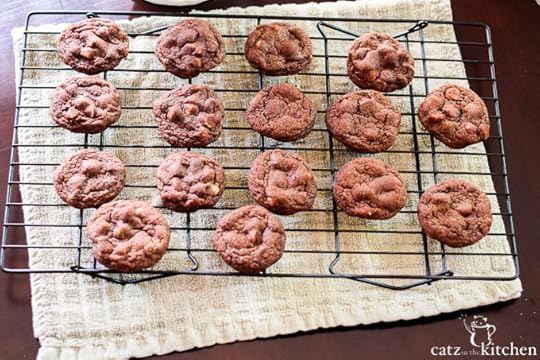 Chocolate Snickerdoodles