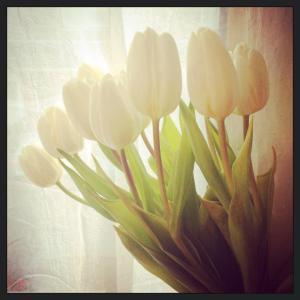 544945_10153077153418216_3202107814706731168_n