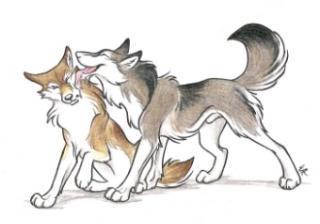  photo a181560f-dc6e-40cd-9e1e-56cf79d2d2b2_zpszoavh5zc.jpg