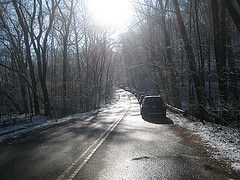 Radnor Lake