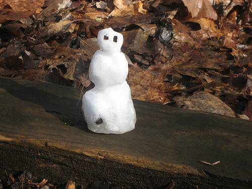 Radnor Lake