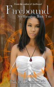 firebound kindle cover