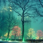 SLC Temple