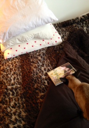 Läsning (Joanna Bourne)