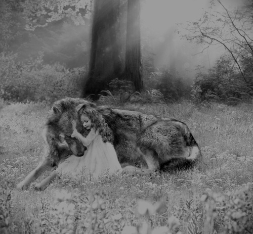  photo tumblr_n6goaxJpvg1ttx1slo1_500_zps0qj2bij7.jpg