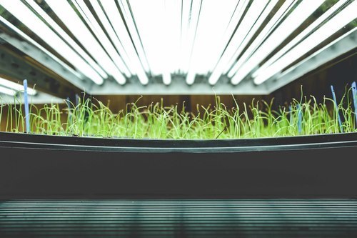 plant propagation station