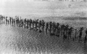 3rd Canadian Infantry Division amphibious vehicles on the flooded Kranenburg road, February 1945