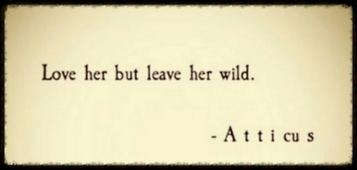  photo PhotoGrid_1423435282130_zpss9xh8yqj.jpg