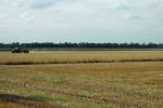 Fenland view from Bukehorn Toll, looking north-west (Crowland Abbey just visible on horizon)