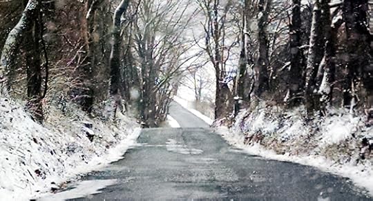 Country Roads Are Like No Other no.3