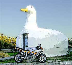 It's...a big duck