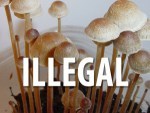 http://michaelmhughes.com/teonanacatl-the-secret-history-of-magic-mushrooms-video-links-and-more/
