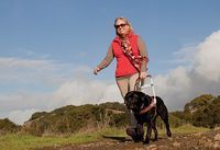 GuideDogsforBlindClickerImage2014