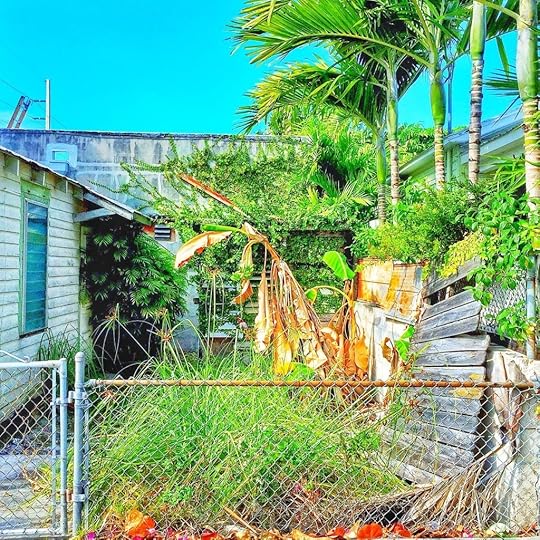Keywestcorners4