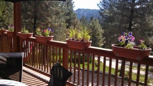 View from deck quiet times.