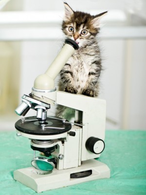 vaccine-titers