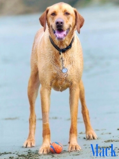  photo 6f69728e-09b0-4fc5-96a8-05b6cb9b38a9_zps91ed22d5.jpg