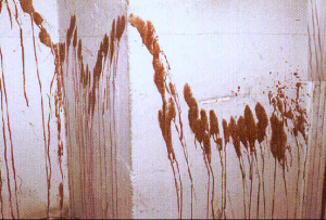 Blood spatter analysis. Arterial spray.