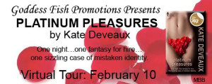 MBB_TourBanner_PlatinumPleasures copy