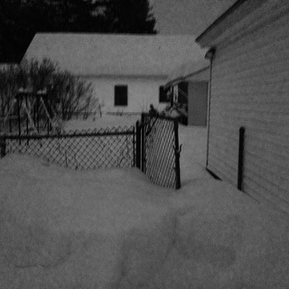 Help! We lost our backyard.