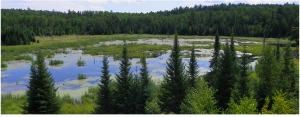 franken_1502_blog_minnesota