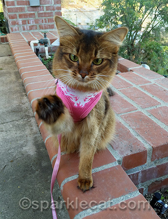 And you bet I got a treat too!