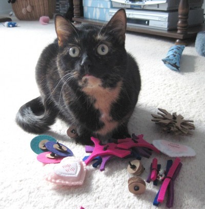cat-toys