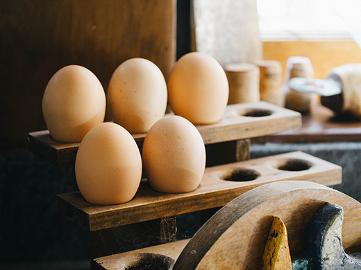 First eggs of the year