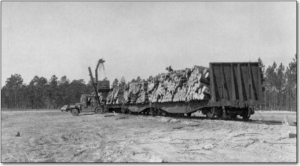 Railroad cars with logs - Saint Marks, Florida, photo by Johnson, State Archives of Florida, Florida Memory