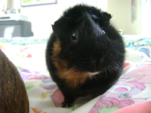 ������SOON���? It���s no, ���Welcome Home, Eleanor.��� That���s for sure.���