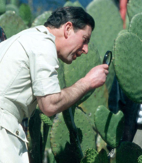 Prince Charles