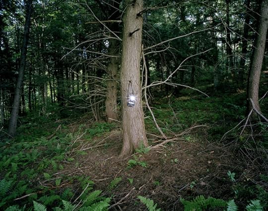 Ekberg_A-Camera-in-the-fore