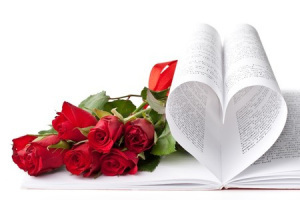 bookish valentine