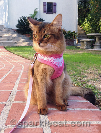I look like a model, don't I?