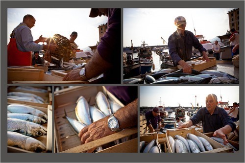 SeeTheWorld_Spreads_53