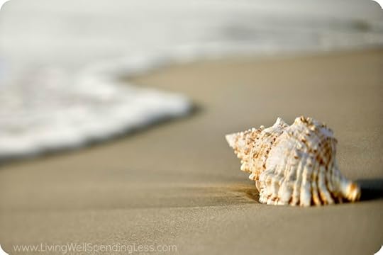 It's Okay to be a Little Broken Shell 1