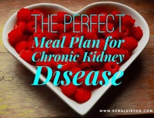 perfect meal plan for chronic kidney disease