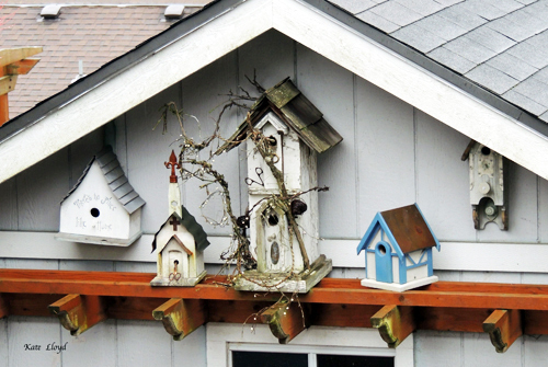 Bird-House