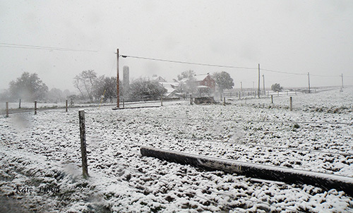 Snowy-Lancaster-County