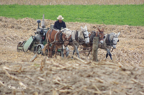 Amish Farmer in Lancaster County
