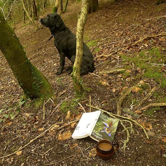 Reading in the woods 2