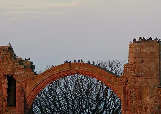 scotland trip jan 15 751